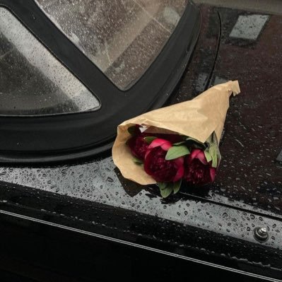 a_lloi9's profile picture. أختصرها بكلمتين ، لا حياة بلا حُسين🖤.