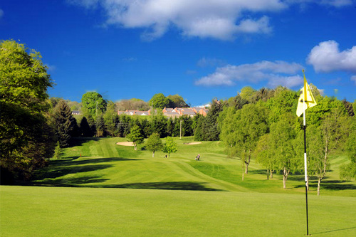 CairndaleHotelGolf Profile