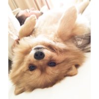 SereneGrace (@bettechand77849) 's Twitter Profile
