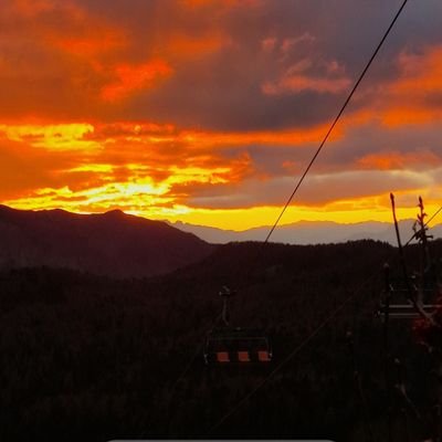 berimbolo777777's profile picture. 