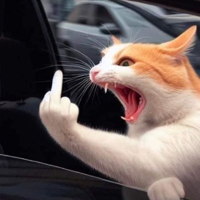 tumblr123ap's profile picture. Finance