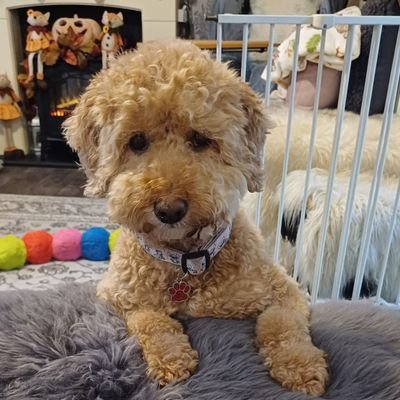 JulieTomli59625's profile picture. 