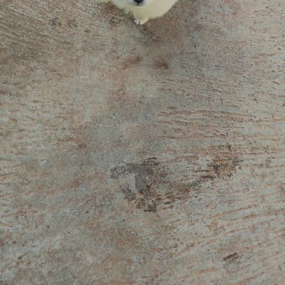 UsharaniV167932's profile picture. 