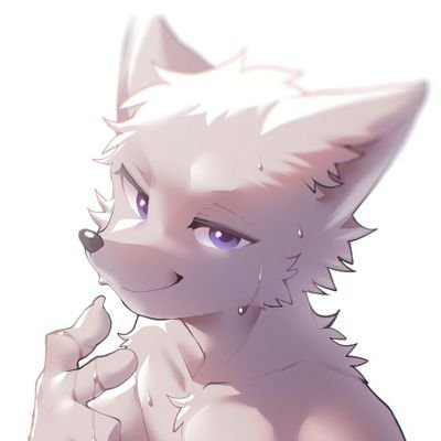 snowyasura's profile picture. Bio? Unnecessary.