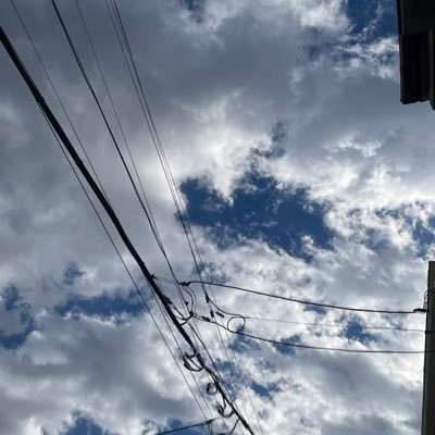 柴田ケイコさん大好き! パンどろぼう。めがねこ。やまもとりえさん。うちらはマブダチ。ねこでよければ。推し。ノラネコぐんだん。チキップダンサーズ。くりまんじゅう。