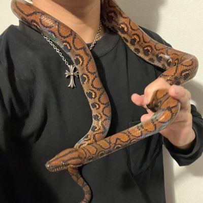 mtmthrk63's profile picture. 来世は爬虫類？？かも