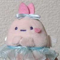 たぴこ (@ptapitan_i) 's Twitter Profile