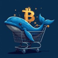 Crypto Whale Cart (@cryptowhalecart) 's Twitter Profile Photo Crypto Whale Cart (@cryptowhalecart) 's Twitter Profile Photo