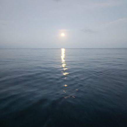 2025Libertine's profile picture. 