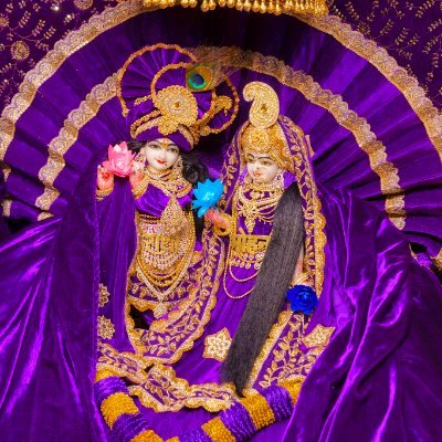 siteshkumarpa11's profile picture. I am SON of"BHARATMATA"& I am servant of Indian government.