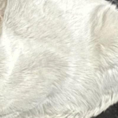 💤さんのプロフィール画像