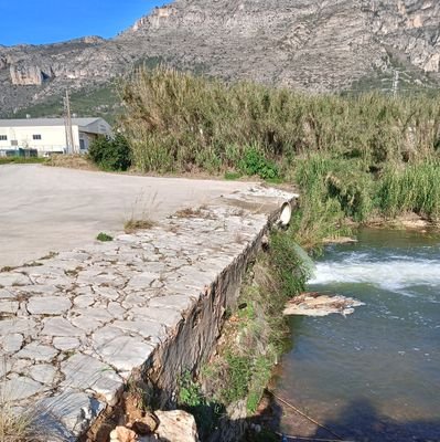 La vida vista des del meu llit.
Sóc el Riu Vaca, el més cabdalós de la contornada.
Nascut al Toro, regue la Valldigna i desemboque a la Mediterrània.