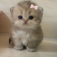 mioneee (@shut_tf_upppp) 's Twitter Profile