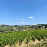 Barna da Siena (@barnadasiena) 's Twitter Profile