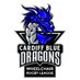 Cardiff Blue Dragon Wheelchair rugby league (@cardiffbluewrl) Twitter profile photo Cardiff Blue Dragon Wheelchair rugby league (@cardiffbluewrl) Twitter profile photo