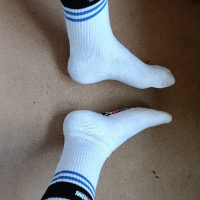 domidomparis's profile picture. 