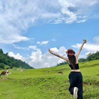 Dandelion (@dandelionyunal) 's Twitter Profile