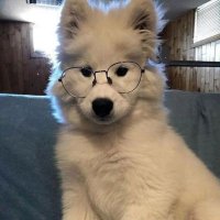 Pt||ヅ (@callme_pt_) 's Twitter Profile