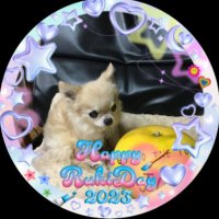 ひびあんこ🌻👑 (@e71r2) 's Twitter Profile