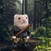 NiemA Feral Ferret (@veryliberalminx) Twitter profile photo NiemA Feral Ferret (@veryliberalminx) Twitter profile photo