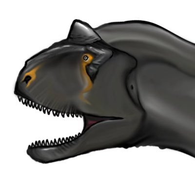 dreammmm176572's profile picture. 