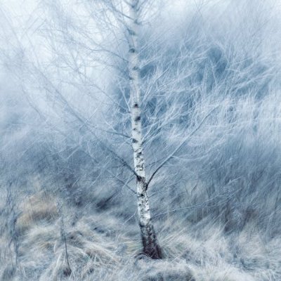 WycliffeWabwir1's profile picture. 
