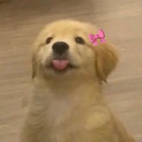 moohpee❥ (@ppoohmamee) 's Twitter Profile