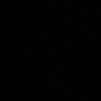 rmocanu999's profile picture. 