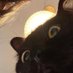 Nafi'an (@jojonjonu) Twitter profile photo Nafi'an (@jojonjonu) Twitter profile photo