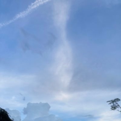 merryhappy91's profile picture. 