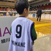 山根ページ CABR-1125(WH) A4 カラーボックス YAMAZEN(山善) 3段 ホワイト
