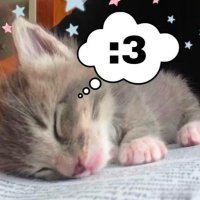 Rinssoftredmayyyy (@rinneeeeee11) 's Twitter Profile