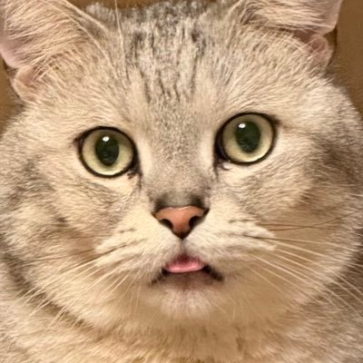 ゆにちです✌︎(　˙-˙　)✌︎さんのプロフィール画像