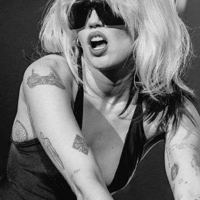 untitledcamu's profile picture. chronically online