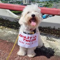 Be.carter (@she_snotme) 's Twitter Profile Photo Be.carter (@she_snotme) 's Twitter Profile Photo