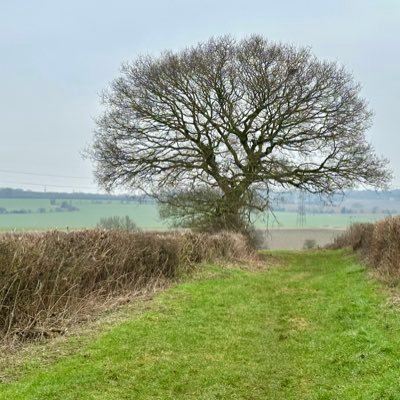 SaveBeaneValley's profile picture. Preserving the beauty of Beane Valley from a proposed solar farm! Located between Cromer, Luffenhall, Cottered and Cumberlow Green in Hertfordshire.