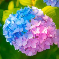 mari (@maria_98786476) 's Twitter Profile Photo mari (@maria_98786476) 's Twitter Profile Photo