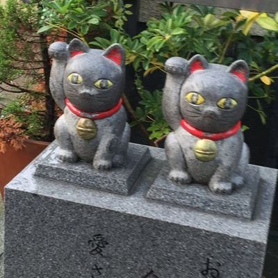 nya_nya_nyany's profile picture. #令和七年もコンプラ重視🫡で視野の広い寄り添わない表現🍙#食べるの好き🥑#Splatoon3🦑#スプラトゥーン3🐙#犬好き🐶#猫好き😸#生き物好き🃏疑似餌は吐き出す🤮おすすめ引用✍🏻リプしないのでDM✉️珈琲☕でも行こう📨#イケメン🏀#長身🎾