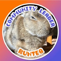 まみむ🐰@RUNTEQ63期B (@mamimu_runteq) 's Twitter Profile Photo まみむ🐰@RUNTEQ63期B (@mamimu_runteq) 's Twitter Profile Photo