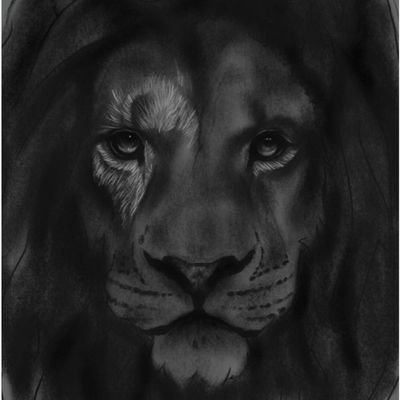 drshuptrine's profile picture. Not a banker or doctor.