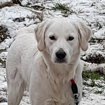 Paige_08_'s profile picture. verheiratet, weiblich und vertritt freie Meinung und lebt danach!