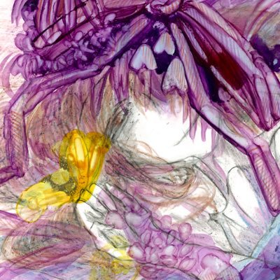 歌月uta。さんのプロフィール画像