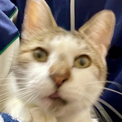ジミーさんのプロフィール画像