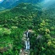 Thenkasian's profile picture. Live. Let Live