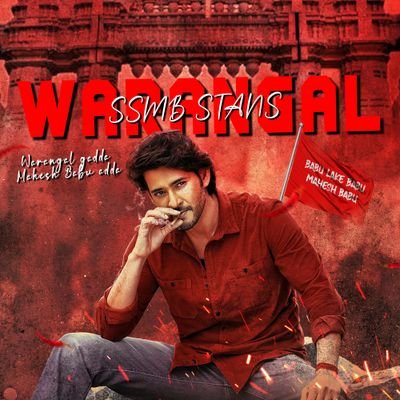 Warangal SSMB Stans Profile
