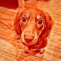 ブロックチェーン、web3とかやってます! AIにも興味あり!cosmos系バリデータ(#IRIS #Chihuahua #Source #Babylon )等もやってます! フォローお願いします🤲アニメとゲームと犬好きです🐶