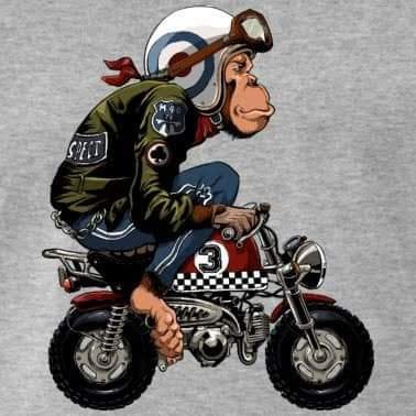 HelloBa54416795's profile picture. 