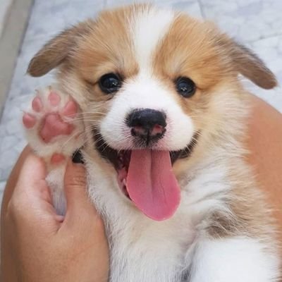 น้องหนู (🌊❤️)さんのプロフィール画像