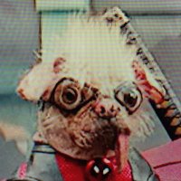 ππβ€οΈππ Diablillo Rojiblanco ππ ππβ€οΈ (@diablillo_ii) 's Twitter Profile