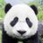 binbin19841230's profile image